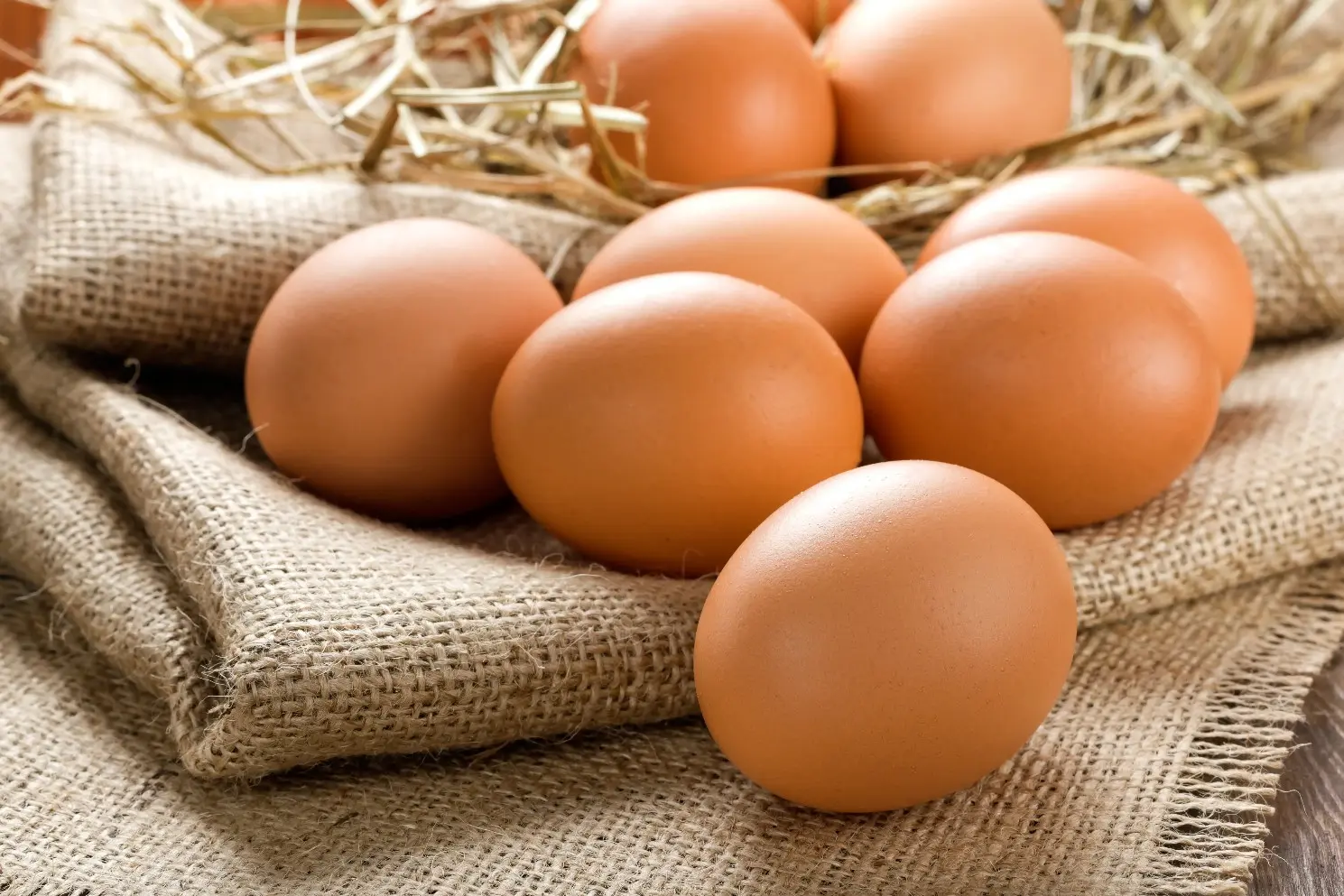 Scientific Feeding and Management of Laying Hens: Key to High Egg Production